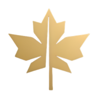 Hidden Leaf | Premium Handcrafted & Wooden Products